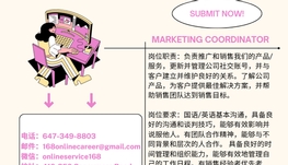 【168新岗】多伦多云石公司请Marketing Coordinator 1名（可移民）