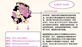 【168新岗】万锦游戏出版公司请Accountant 1名（可移民）