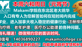 Makami学院元宵节活动