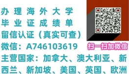 办理毕业证【微信：A746103619】成绩单 留信认证